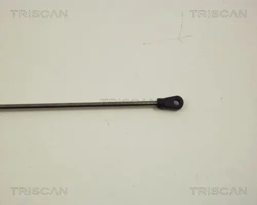 Handler.Part Gas spring, bonnet TRISCAN 871029105 3