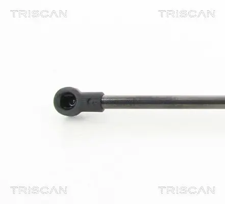 Handler.Part Gas spring, bonnet TRISCAN 871029138 2