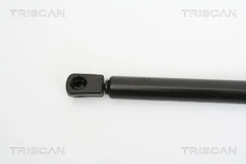 Handler.Part Gas spring, boot-/cargo area TRISCAN 871029245 2