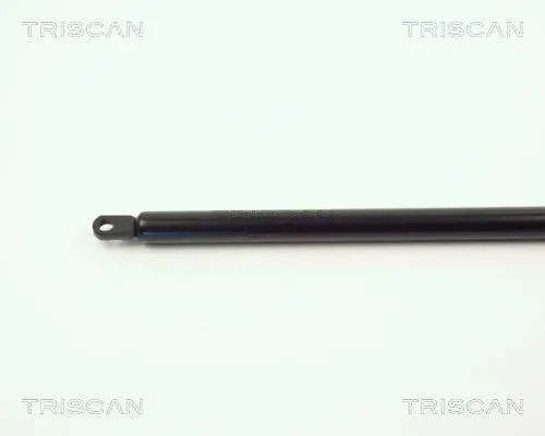 Handler.Part Gas spring, boot-/cargo area TRISCAN 87103801 2