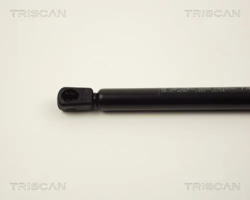 Handler.Part Gas spring, boot-/cargo area TRISCAN 87103810 2