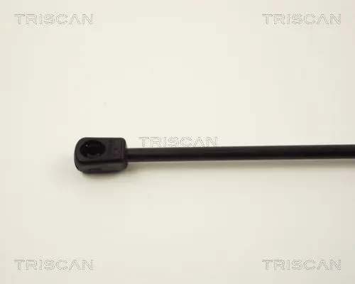 Handler.Part Gas spring, boot-/cargo area TRISCAN 87103810 3