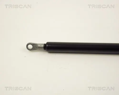 Handler.Part Gas spring, boot-/cargo area TRISCAN 87103811 2