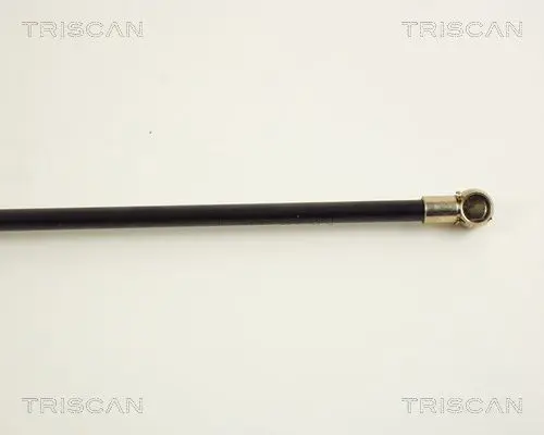 Handler.Part Gas spring, boot-/cargo area TRISCAN 871038209 3