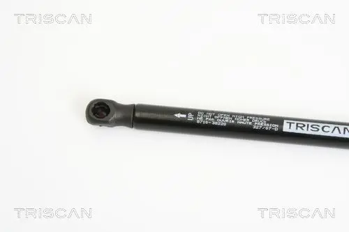 Handler.Part Gas spring, boot-/cargo area TRISCAN 871038220 2