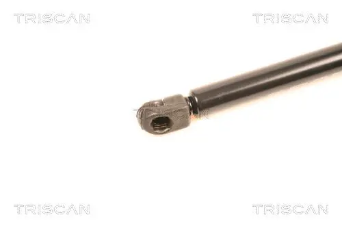 Handler.Part Gas spring, boot-/cargo area TRISCAN 871040218 2