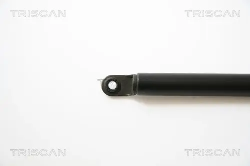 Handler.Part Gas spring, boot-/cargo area TRISCAN 871040222 2