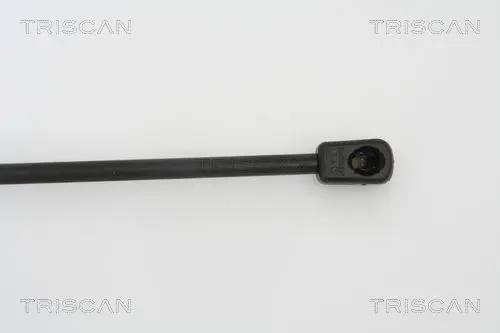 Handler.Part Gas spring, boot-/cargo area TRISCAN 871042235 3