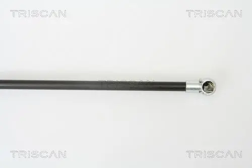 Handler.Part Gas spring, boot-/cargo area TRISCAN 871043215 3