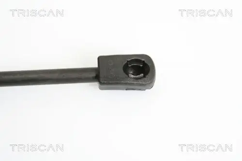 Handler.Part Gas spring, bonnet TRISCAN 871043104 1