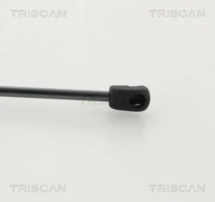 Handler.Part Gas spring, bonnet TRISCAN 871043104 2