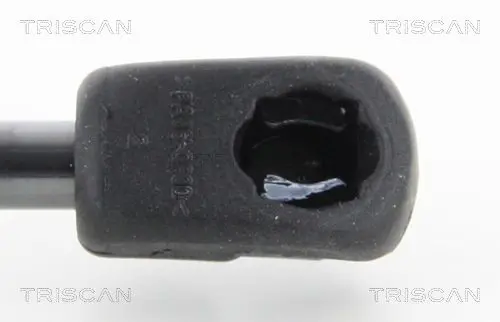 Handler.Part Gas spring, boot-/cargo area TRISCAN 871043241 2