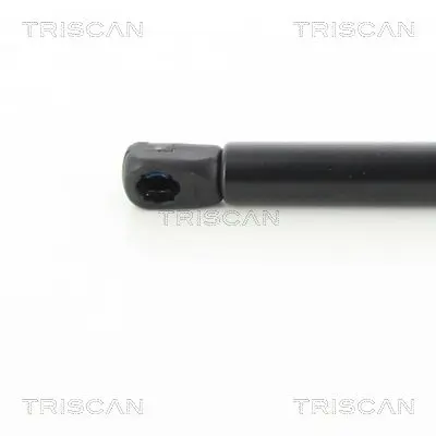 Handler.Part Gas spring, boot-/cargo area TRISCAN 871043241 3