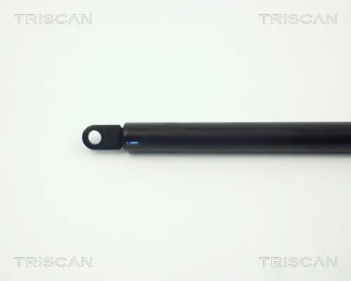 Handler.Part Gas spring, boot-/cargo area TRISCAN 87106506 2