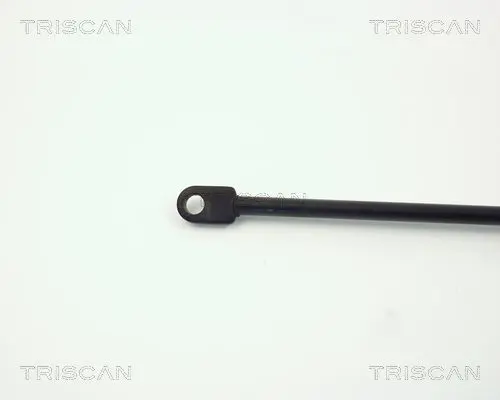 Handler.Part Gas spring, boot-/cargo area TRISCAN 87106506 3