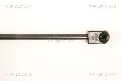 Handler.Part Gas spring, boot-/cargo area TRISCAN 871066204 3