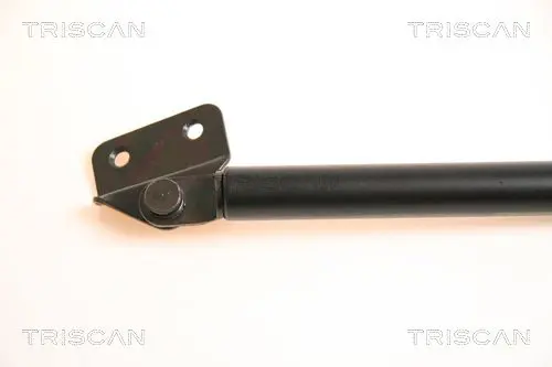 Handler.Part Gas spring, boot-/cargo area TRISCAN 871069210 2