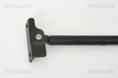 Handler.Part Gas spring, boot-/cargo area TRISCAN 871069220 2