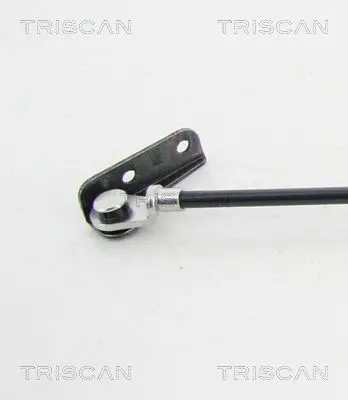 Handler.Part Gas spring, boot-/cargo area TRISCAN 871069202 2