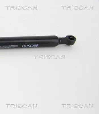 Handler.Part Gas spring, boot-/cargo area TRISCAN 871069202 3