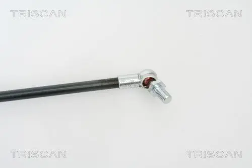 Handler.Part Gas spring, boot-/cargo area TRISCAN 871069217 3