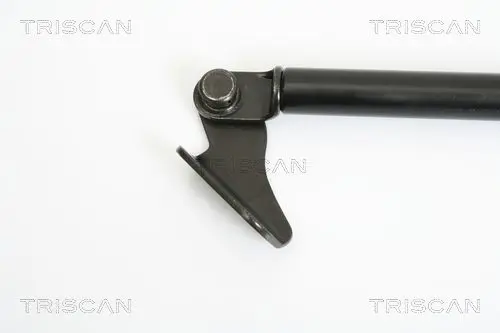 Handler.Part Gas spring, boot-/cargo area TRISCAN 871069218 2