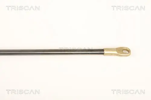 Handler.Part Gas spring, front panel TRISCAN 87109011 3