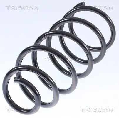 Handler.Part Coil spring TRISCAN 875029074 1