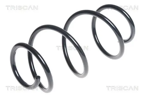 Handler.Part Coil spring TRISCAN 87504386 1