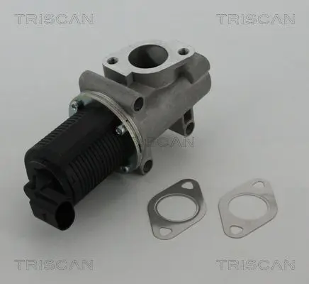 Handler.Part Egr valve TRISCAN 881310005 3