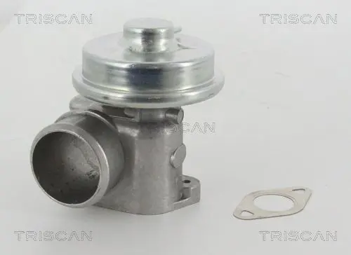 Handler.Part Egr valve TRISCAN 881316010 1