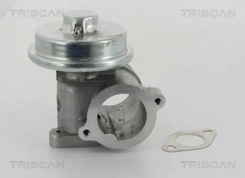 Handler.Part Egr valve TRISCAN 881316010 2