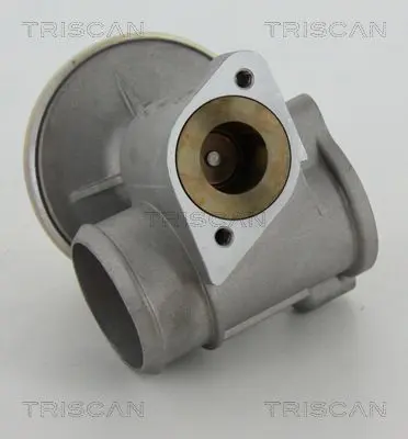 Handler.Part Egr valve TRISCAN 881316010 3