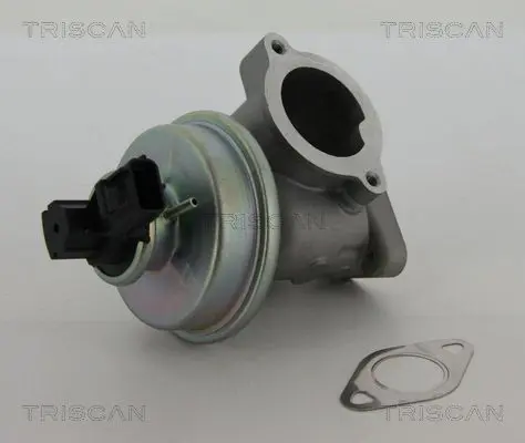 Handler.Part Egr valve TRISCAN 881316012 1