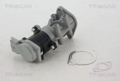 Handler.Part Egr valve TRISCAN 881317008 1