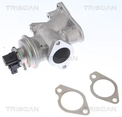 Handler.Part Egr valve TRISCAN 881324203 3