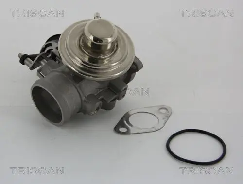 Handler.Part Egr valve TRISCAN 881329001 1