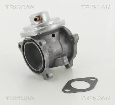 Handler.Part Egr valve TRISCAN 881329011 1