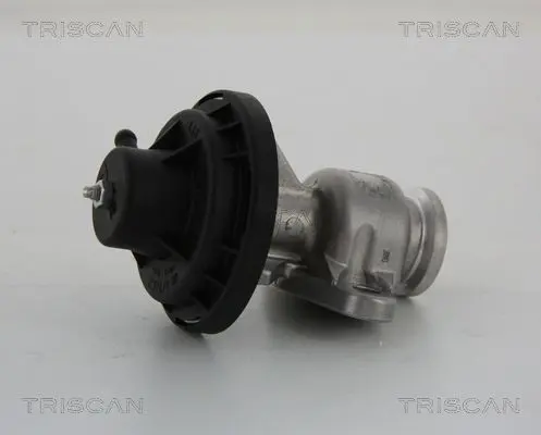 Handler.Part Egr valve TRISCAN 881329034 1