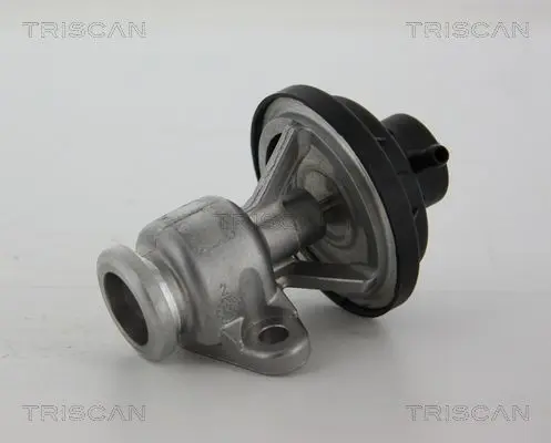 Handler.Part Egr valve TRISCAN 881329034 2