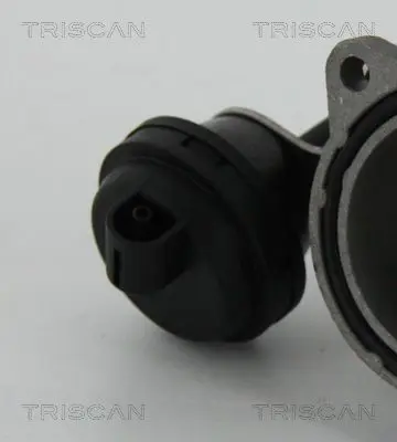 Handler.Part Egr valve TRISCAN 881329057 2