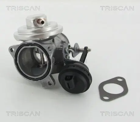 Handler.Part Egr valve TRISCAN 881329201 2