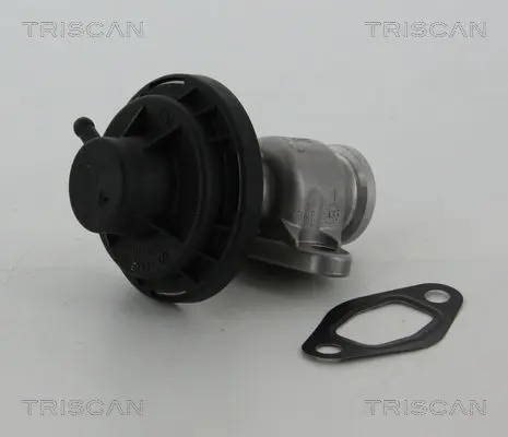 Handler.Part Egr valve TRISCAN 881329307 1