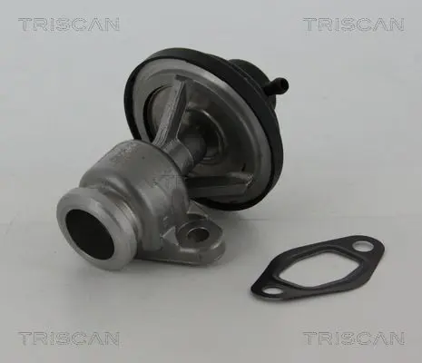 Handler.Part Egr valve TRISCAN 881329307 2