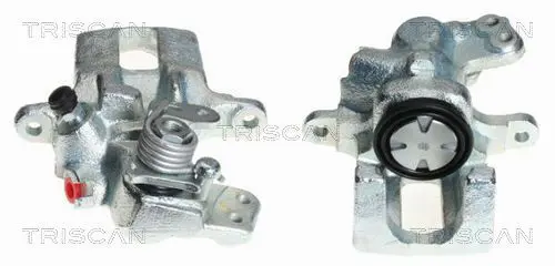 Handler.Part Brake caliper TRISCAN 8170341913 1