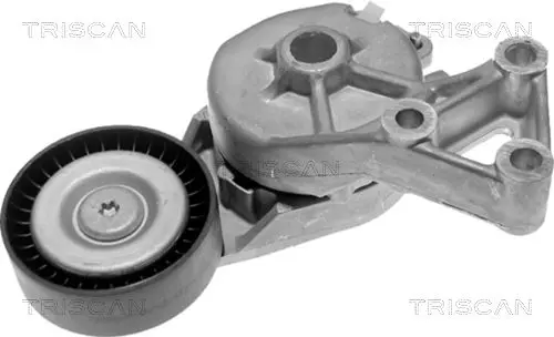 Handler.Part Tensioner lever, v-ribbed belt TRISCAN 8641103006 1