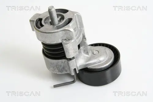 Handler.Part Tensioner lever, v-ribbed belt TRISCAN 8641113029 1