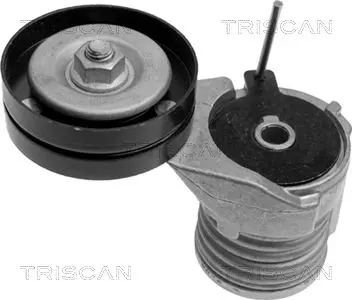 Handler.Part Tensioner lever, v-ribbed belt TRISCAN 8641293002 1