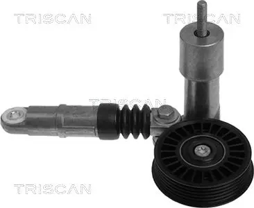 Handler.Part Tensioner lever, v-ribbed belt TRISCAN 8641293004 1