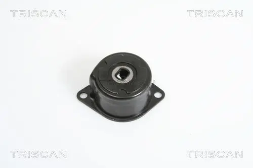 Handler.Part Tensioner lever, v-ribbed belt TRISCAN 8641293022 1